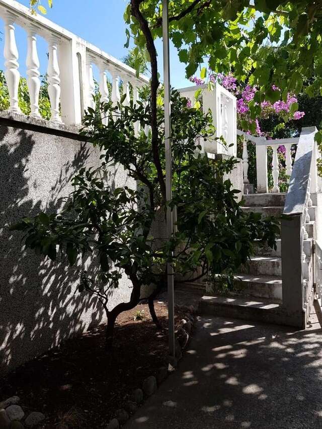 Гостевой дом Sobe i apartmani Marović Петровац-4
